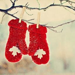 cdnpoligirl's profile picture. Poli Sci major. Future Lawyer. Don't put me in your box. proverbs 31:8-9 ♡