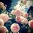 HamdaAlhashimi's profile image