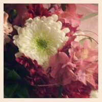 Maysa Basoudan د.ميساء باسودان (@maysabas) Twitter profile photo