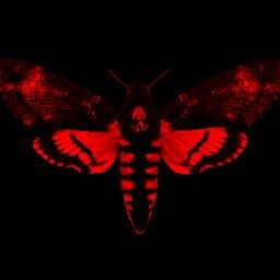 dher0n's profile picture. 