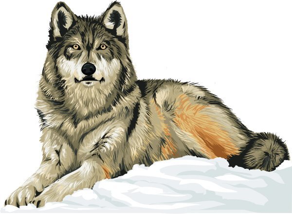 Twitter resmi untuk WolfTourism biro perjalanan wisata yang berbasis Ekowisata memiliki konsep Ekologi, Ekonomi dan Sosial Budaya.  wolftourism@yahoo.com
