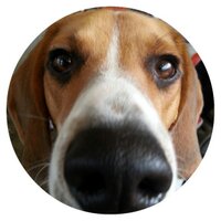 한카피 (@hankapy) 's Twitter Profile