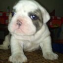 david belmar - @belmar_t - Twitter