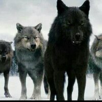 Soner Ballı (@soner5346) 's Twitter Profile