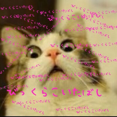 びっくらこいたばしbot びっくりしたことを びっくらこいたばし っといって呟くbotです 突然の定期に びっくらこいた ばし