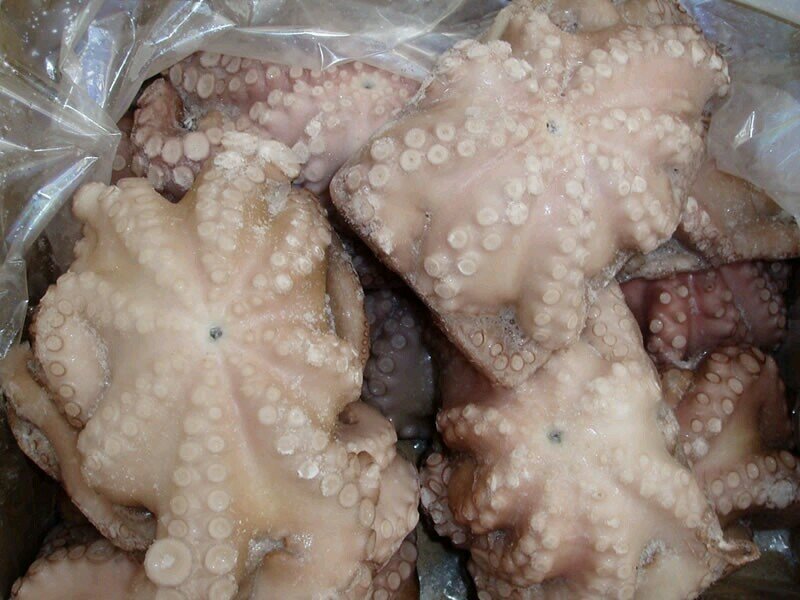 skmseafood's profile picture. 