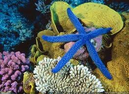 Reagvristian's profile picture. Remember you are beautiful, but keep in mind that not everyone's gonna be able to see that.