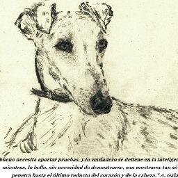 AYUDAR A LOS ANIMALES ES LO QUE ME HACE SENTIR BIEN CONMIGO MISMA. ASÍ QUE SOY ANIMALISTA Y SEGUIRÉ SIENDOLO