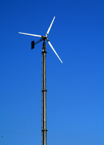 kmuk001's profile picture. Freiheit ^^V