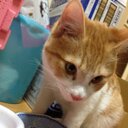さわめ (@05883799) Twitter