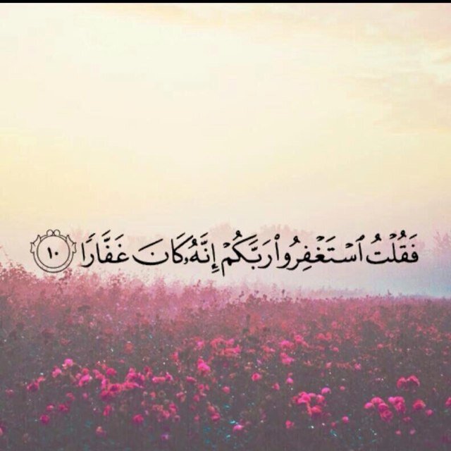 yallah_n's profile picture. ‏اللهم اجعل هذا الحساب صدقه جاريه لي و لوالدي واهلي جميعاً ولصديقاتي ولكل من احب ♡♡~'