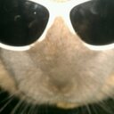 Daniel Cape - @danielcape_cape - Twitter