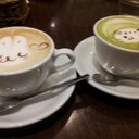 しほ (@0207Tr) Twitter