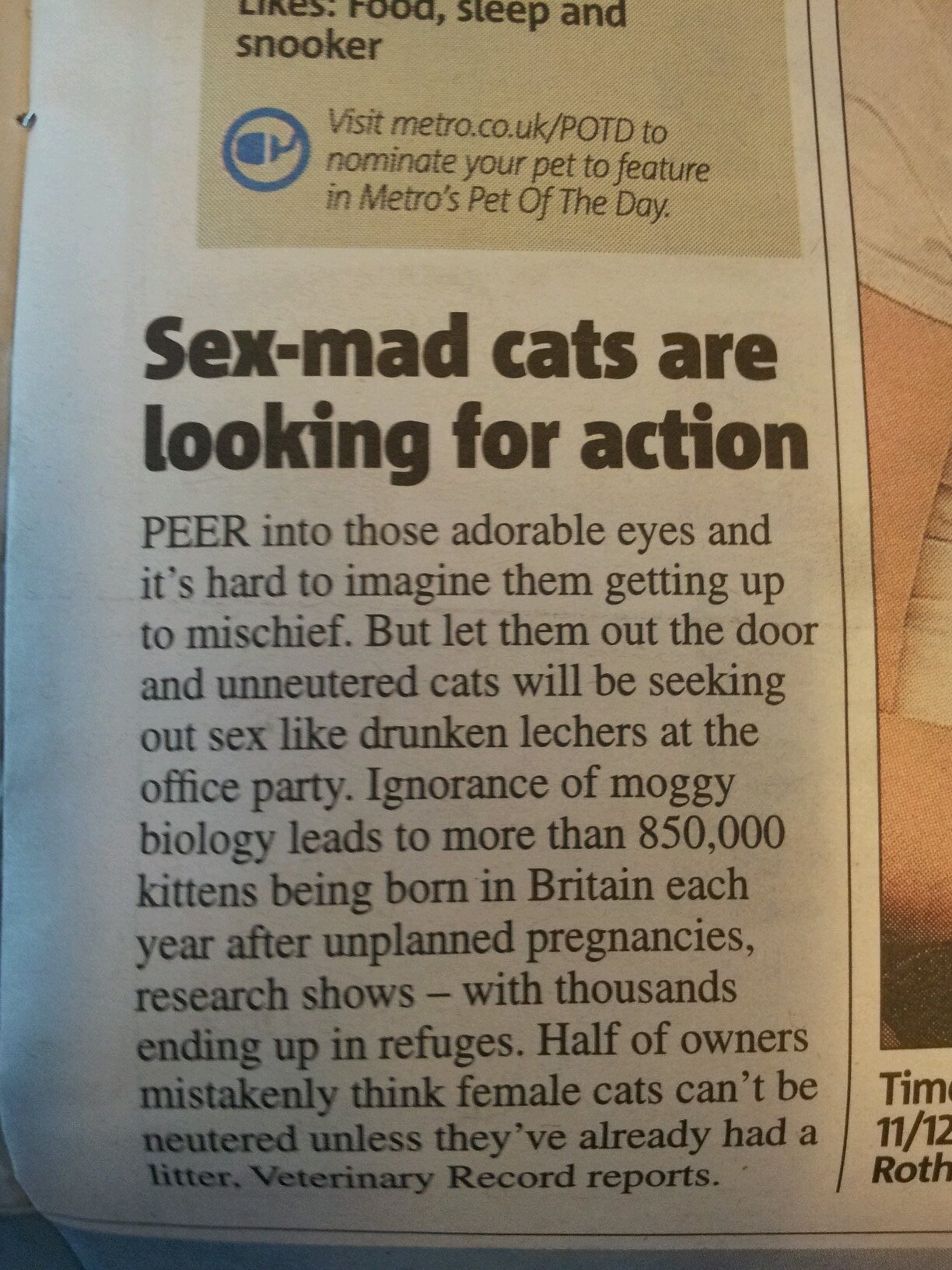 samuyaat's profile picture. none