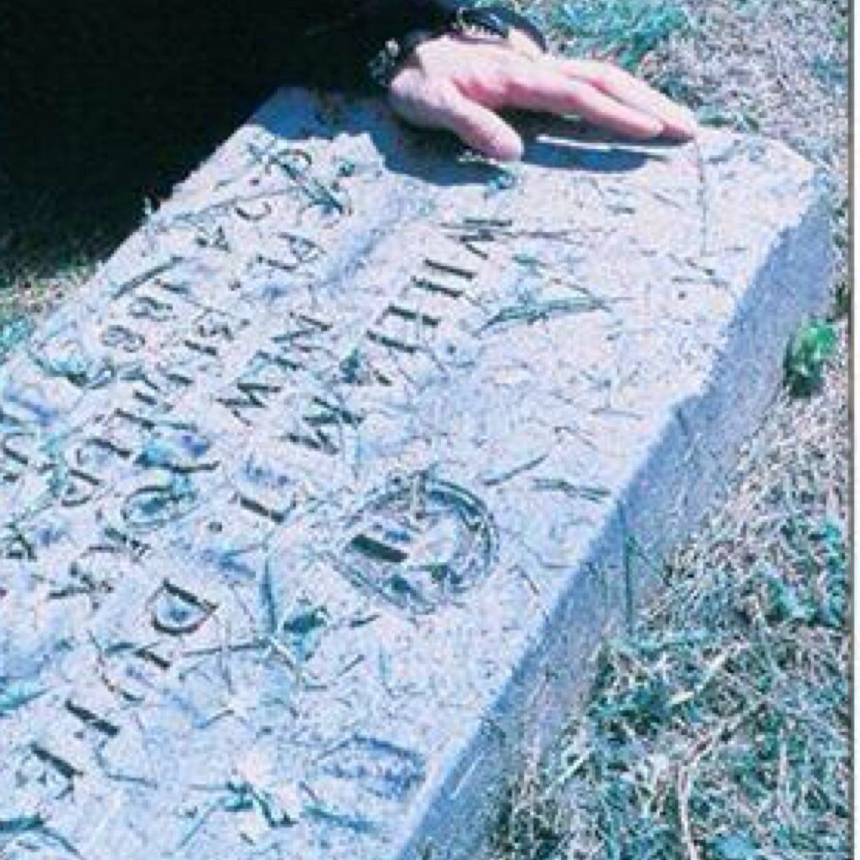 kirakirano0901's profile picture. こんなに嫌な世界なのに、綺麗な花が咲いていて、それを素直に綺麗とゎ思えず、なにも信じられないでいる自分ゎ、ただわからないだけかも。空の星にばかり目がいく。