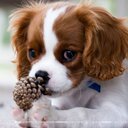 Sam David - @SamDavi69688269 - Twitter