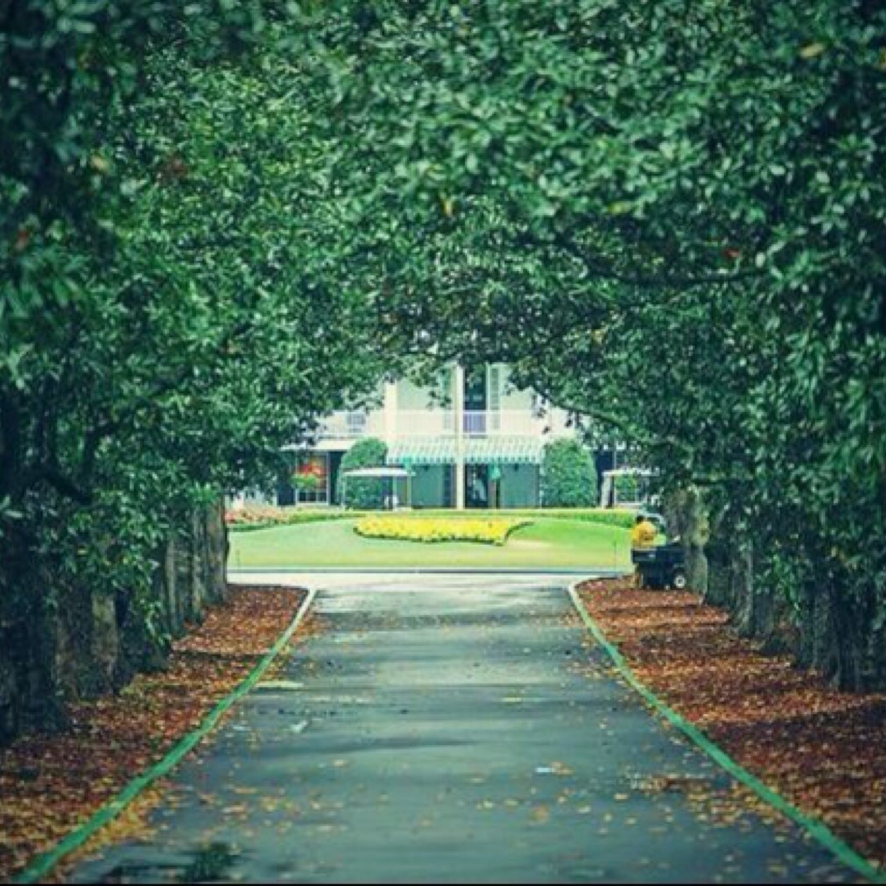 The long drives, the stiff wedges, the one putts, the chip ins, the competition, the passion. This is what golf is. This is what I live for. ⛳