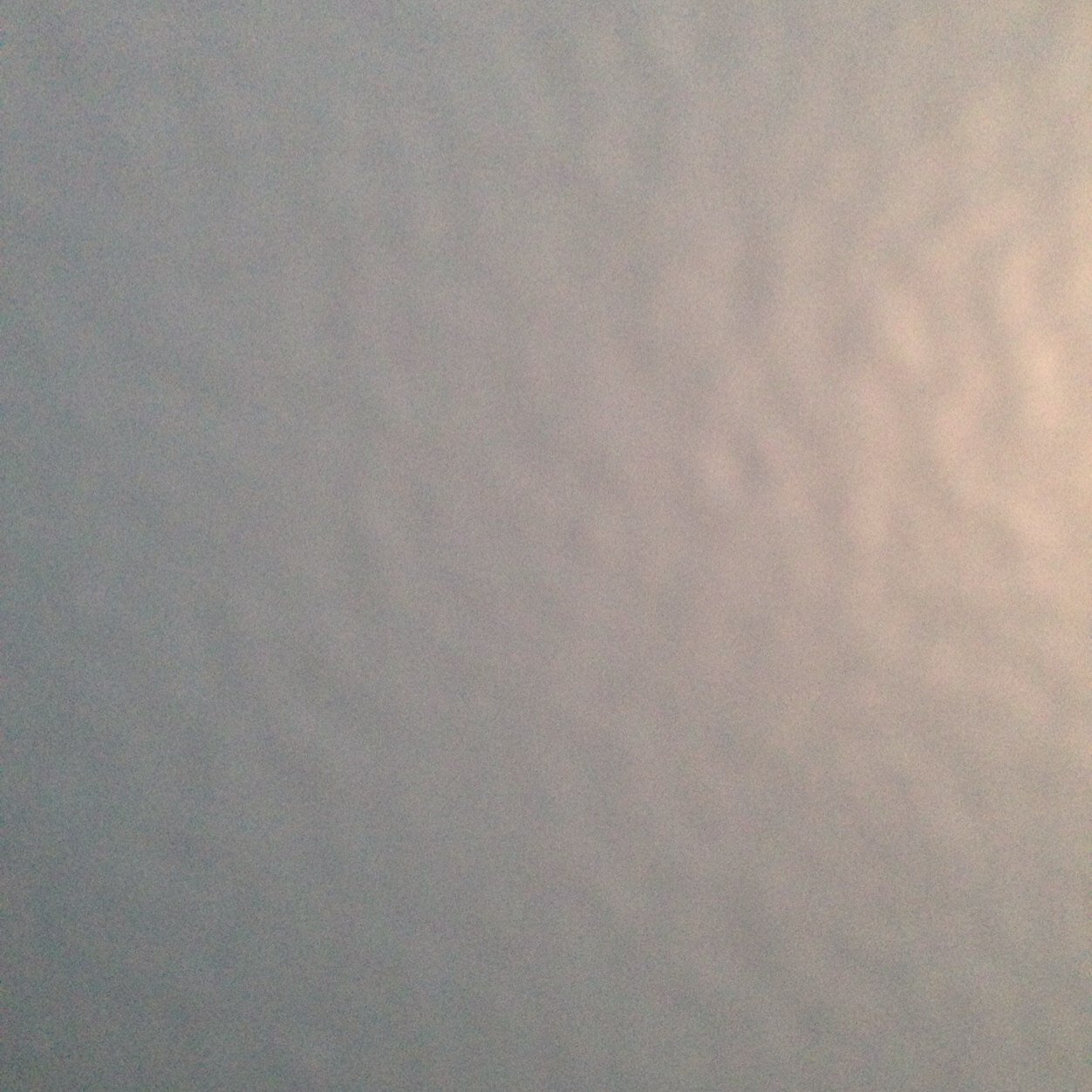 triciawenke13's profile picture. 