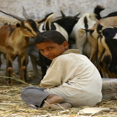 لا إله إا له