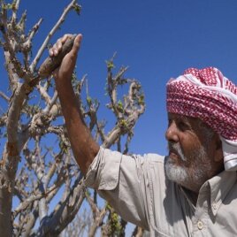 **خلت لعاده الله وليس لعباده لدنيا **