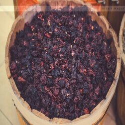 _ يا عزوتي طاال الهجرو انا اتحرى وانتظرر ،in:2913948