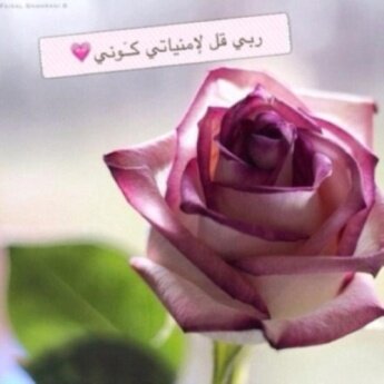 لا يعنيني رأي الأخرين ولا  كيف اكون في أعينهم مادم مشي على قانون مزاجيتي :)(