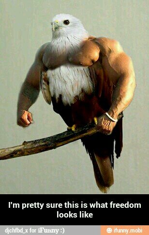 DossettShawn's profile picture. 