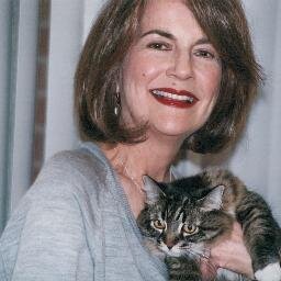 Young Adult mystery writer.  City of Adventure, Kindle eBooks. 