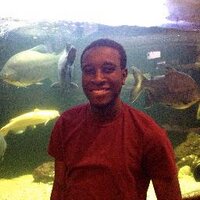 Ogo Sylla (@ogo_sylla) 's Twitter Profile