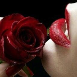 laury_dz_10's profile picture. "Tu percepción del mundo es un reflejo de tu estado de conciencia."