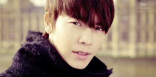 ..93 liner ..im bigest fan for my legend «super junior» ELFish..you dont obliged to follow me if you dont like my tweet enjoy^^          @donghae861015♥♥♥