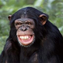 BlairsBodyShop's profile picture. We are a locally owned and family operated Body Shop in Rockledge FL, close to Vierra & Cocoa. We specialize in top quality OEM style repairs. Come See us!