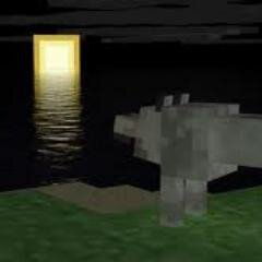 I LOVE ANIMALS AND ALSO GO and go check out my channel http://t.co/mXWXZ1bwPl Email KidaneKlages@gmail.com. My Server Ip:66.85.185.178:26705