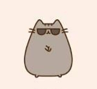love music:rock,heavy metal,ect.  love pusheen too•i follow back so follow4follow,same with shoutout4shoutout