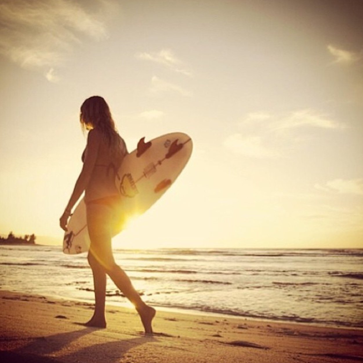 Just a surfer girl, living life in the water. Surfing, guitar, art. Loving the life God's given me✌️
**Avi is me**
