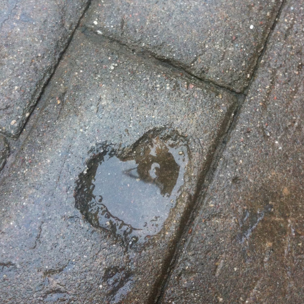 AndersoneInga's profile picture. 