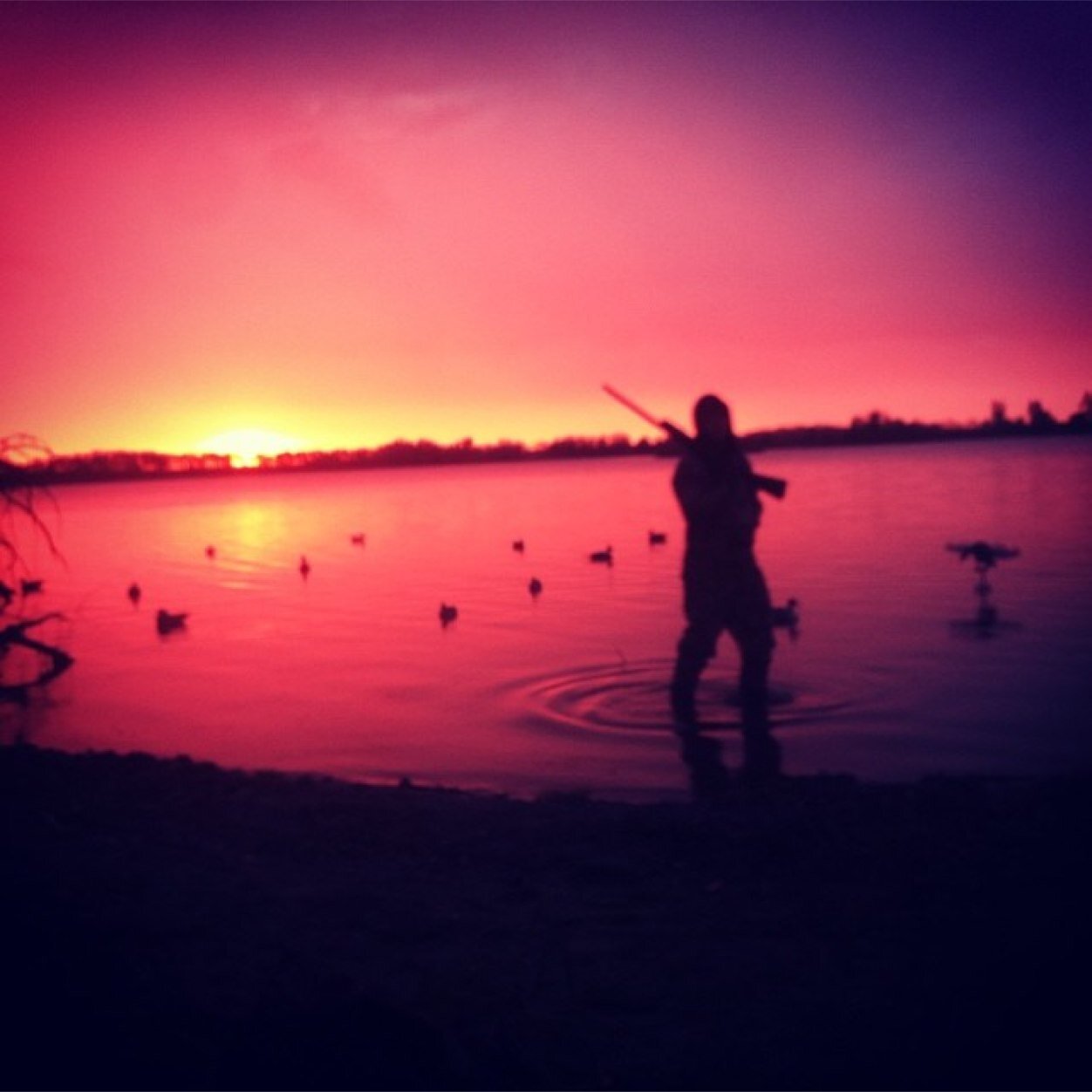 tannertimko7's profile picture. 