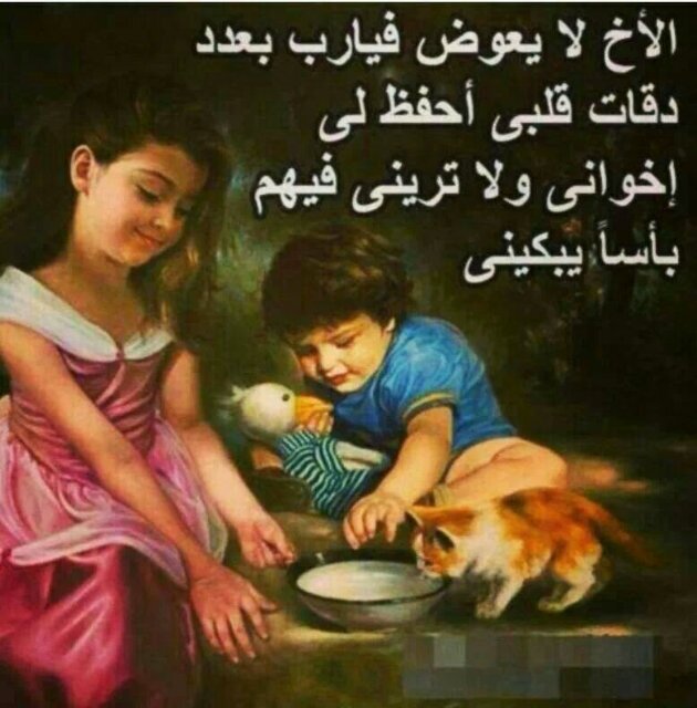 اثق بأنني فتاه مختلفہ آجمل ما في داخلي روح حنونہ لست مثاليہ ولكن أقسم بأن نيتي طاهره للجميع وهذآ يكفيني..