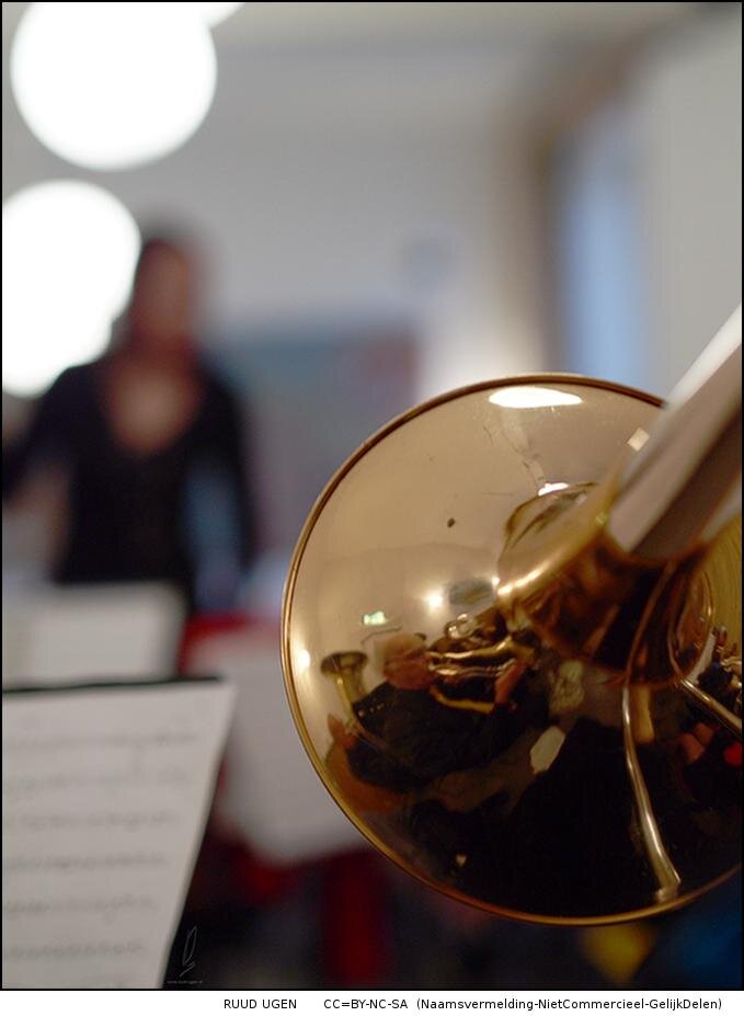 Orkest uit de 4e divisie met ca. 30 leden. Wij zijn een klein, maar erg gezellig clubje en spelen muziek van klassiek tot modern, van blues tot filmmuziek.