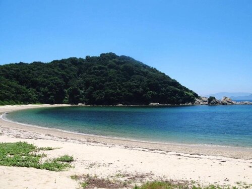 家庭菜園🌱と釣り🎣おじさん