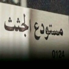 وط لا تحمية لا ... تتحق العيشفية