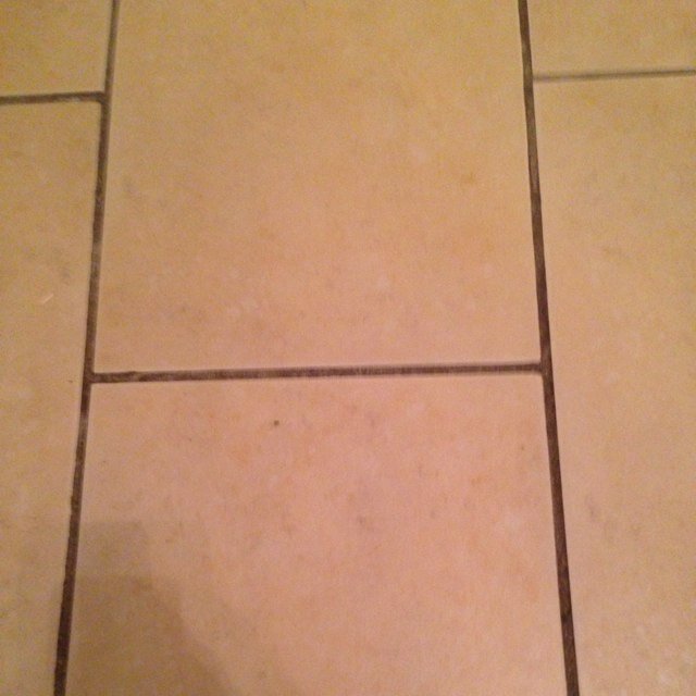 Wecantstop1234's profile picture. 