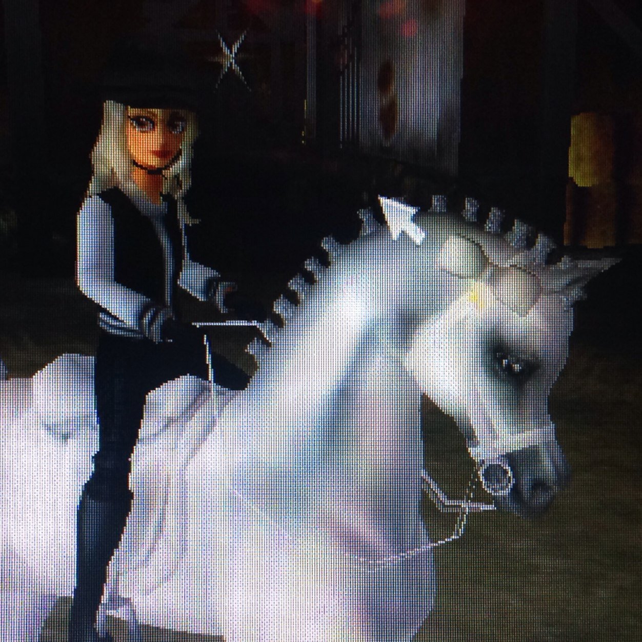 ❤️Fairy Bubbles Familie❤️ 5 Horses : Minispider,BlueRiver,Babywhisper,Angelspirit,FireshadowLevel14Danielle DragongirlBestFriends:Milou,Leah,Celine❤️❤️