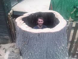 parishtreesrgry's profile picture. Tom Addis - Wokingham Tree care - new to twitter - old to trees!