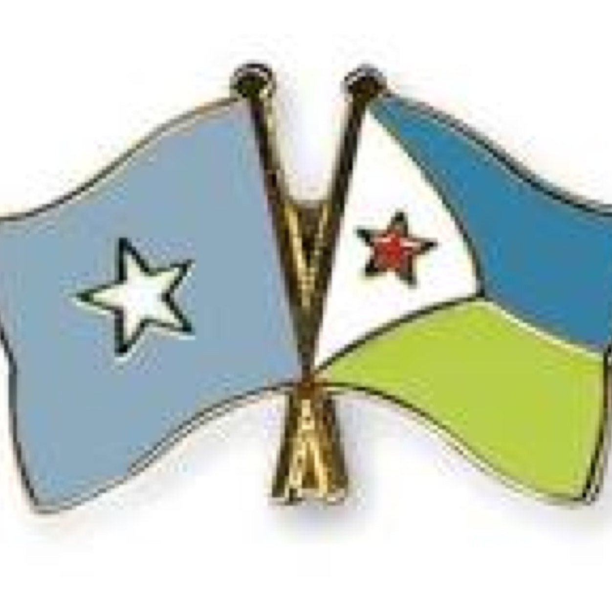 Somaligirllife's profile picture. I'm a somali therefore I'm already set up for a life of cleaning and dodging Hoyo's dac3as lol follow me