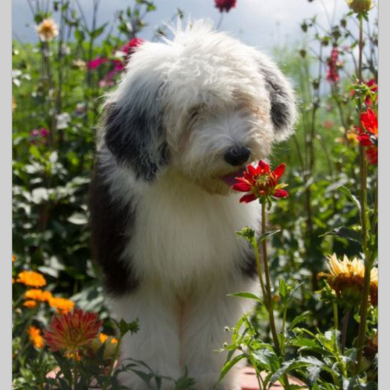 ArbuthnotkKathy's profile picture. 