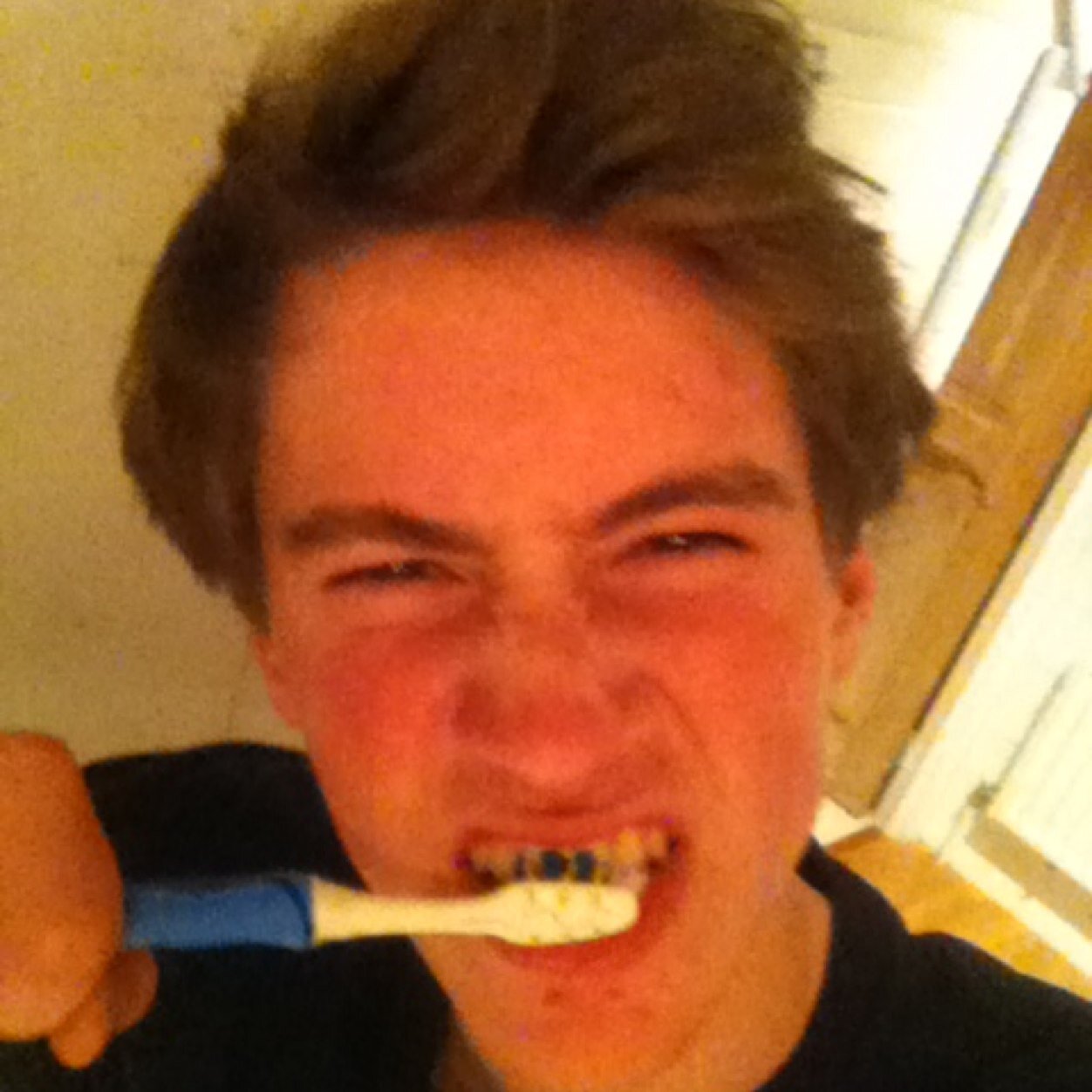 GoorSacha's profile picture. bg