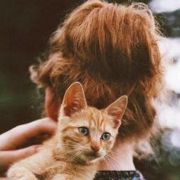 _renownedx's profile picture. 🇮🇪 🇮🇹 🇺🇸