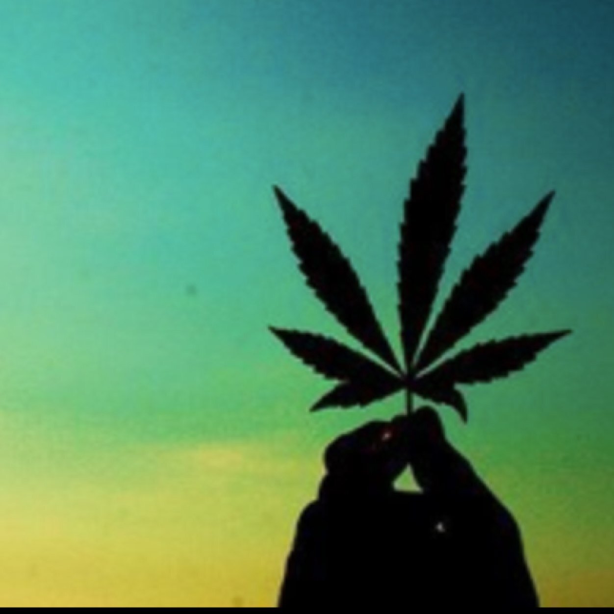 If I'm high I'm happy. #Legalize