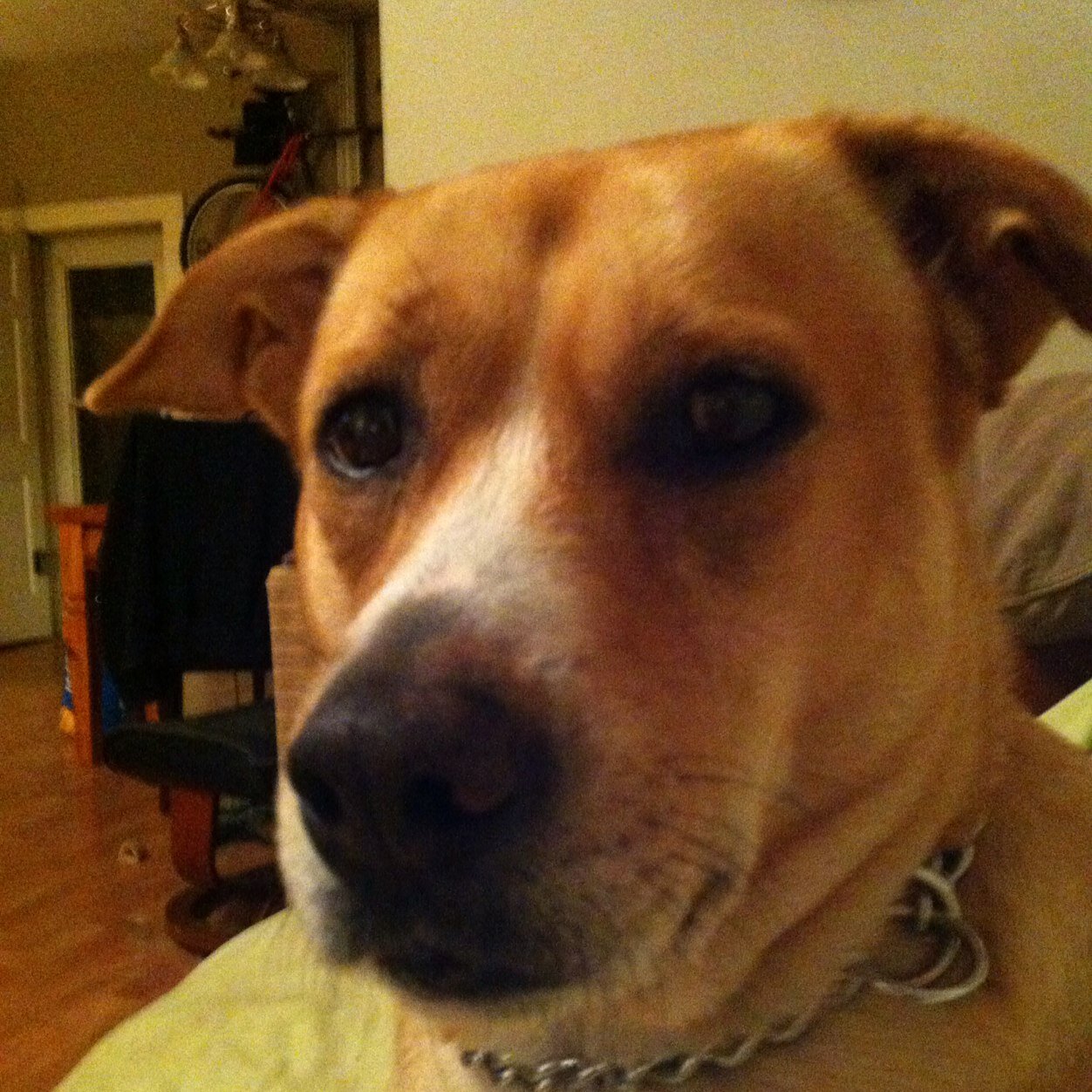 lisaparisi01's profile picture. 